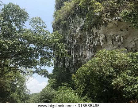 The Jungle Forest Inthailand With Blue Sky