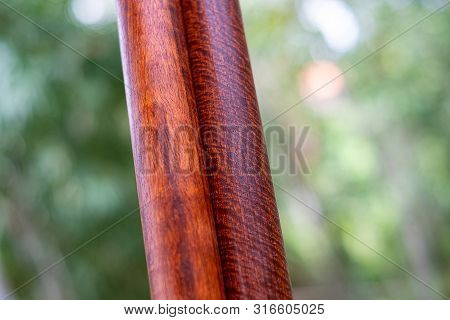Wood Logs Round Lath Of Burma Padauk, Exotic Wooded Beautiful Pattern For Crafts Or Diy At Blured Ba
