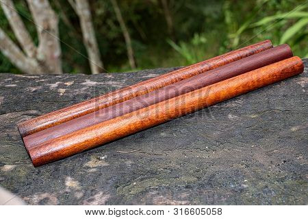 Wood Logs Round Lath Of Burma Padauk, Exotic Wooded Beautiful Pattern For Crafts Or Diy At Blured Ba