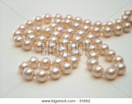 화이트에 진주