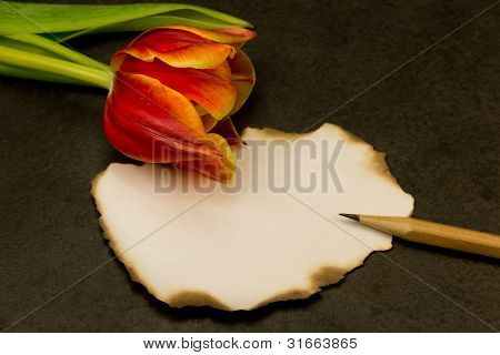 Mensaje no escrita con un lápiz y una flor en el lado