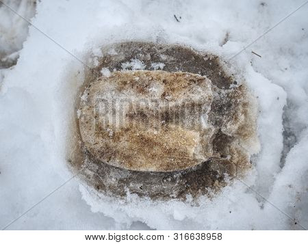 Horse Galloping Foot Print In Snow Covered Ground With Stalks