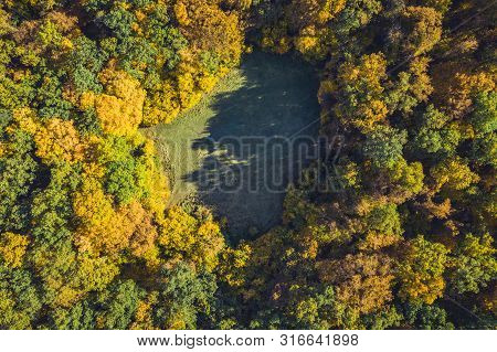 Top View Of A Forest Clearing From A Drone