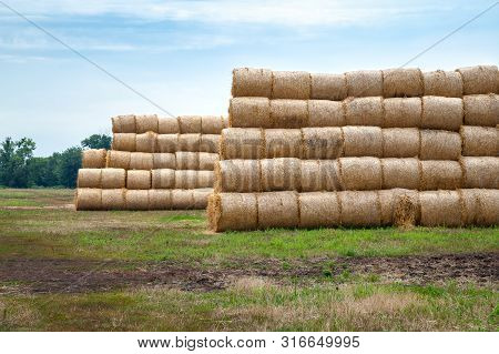 Hay Bales. Hay Bales Are Stacked On The Field In Stacks.