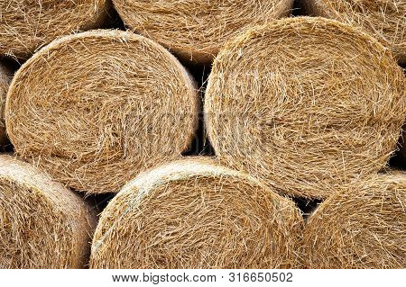 Hay Bales. Close-up Round Hay Bales Stacked In Stacks.