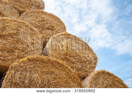Hay Bales. Bottom View Round Hay Bales Stacked In Stacks Against The Sky.