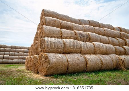 Bales Of Hay. Hay Bales Are Stacked In Large Stacks.