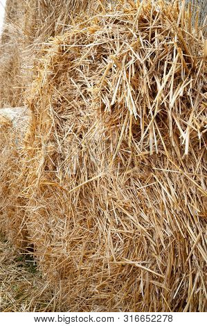 Stack Hay Closeup. The Texture Of Hay Bales Is Stacked In Large Stacks.