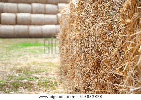 Stack Hay Closeup. Hay Bales Are Stacked In Large Stacks.