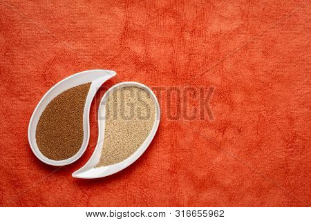 gluten free brown and ivory teff grain on teardrop shaped bowl against red  textured paper - important food grain in Ethiopia and Eritrea