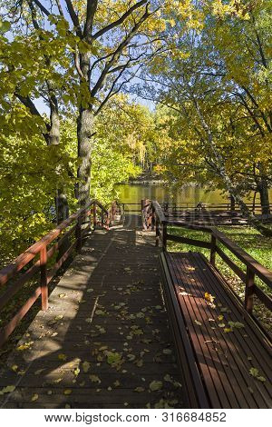 Well-maintained Pedestrian Walkway To The Shore Of The Pond. Sunny Day In October. Landscape Reserve