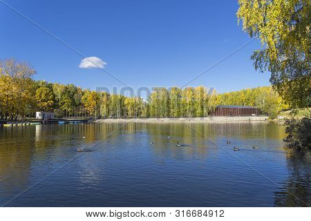 Beautiful Autumn Landscape - Trees With Bright Yellow Autumn Leaves On The Shore Of The Pond. Landsc
