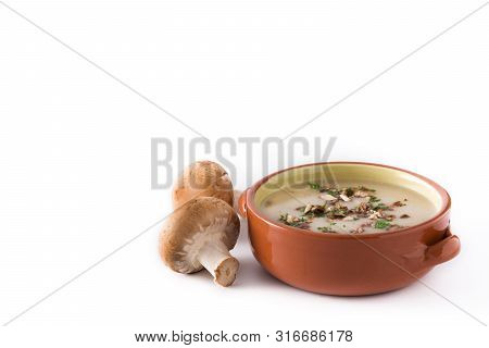 Homemade Mushroom Soup Isolated On White Background. Copyspace