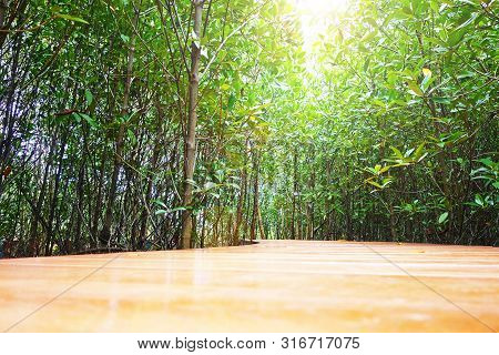 A Wooden Walkpath Through Mangrove Forest Located In Chanthaburi Province,thailand