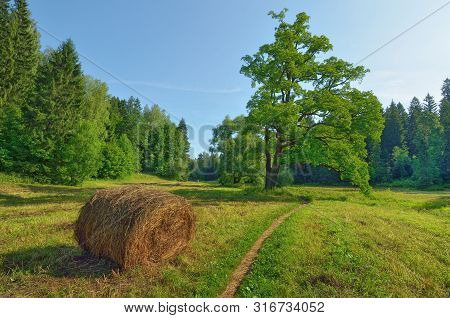 A Stack Of Dry Hay In The Field.after Haying, The Grass Was Collected In A Stack.