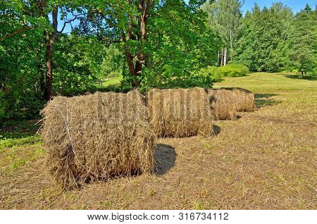 A Stack Of Dry Hay In The Field.after Haying, The Grass Was Collected In A Stack.