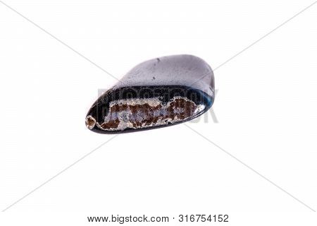 Macro Mineral Stone Falcon Eye On A White Background