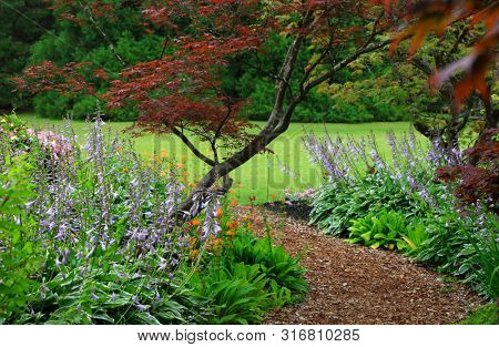 Vandusen botanical gardens in Vancouver city