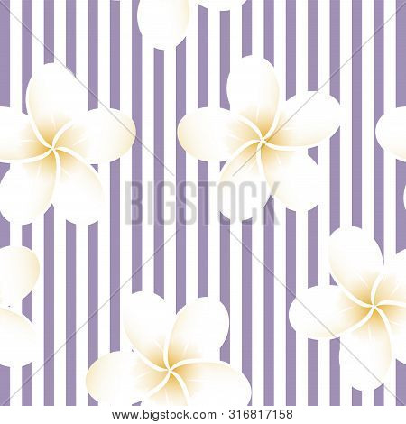 Seamless Striped Vector Tropical Pattern. Plumeria, Frangipani.