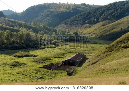 Horse Yard On The Outskirts Of The Taiga Village Generalka Altai Territory. Russia