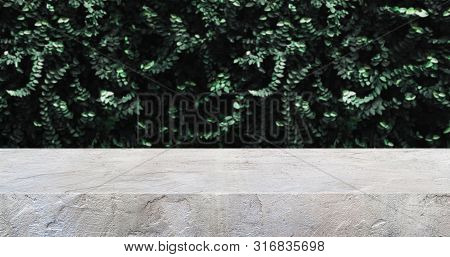 Concrete Texture Table And Green Leaf Wall Product Display Background.3d Perspective Studio Photogra