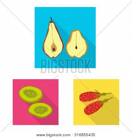 Vector Illustration Of Fruit And Dried Sign. Set Of Fruit And Food Vector Icon For Stock.