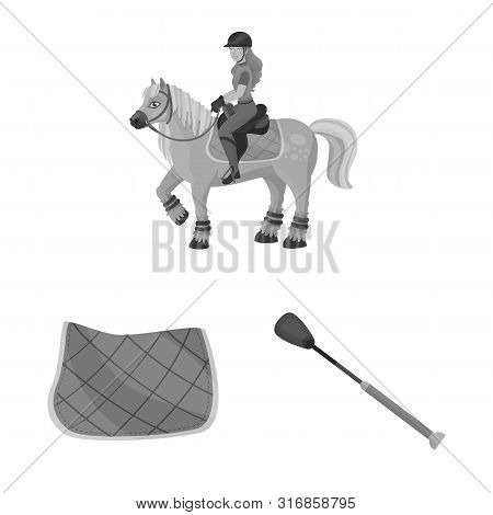 Isolated Object Of Race And Horse Icon. Set Of Race And Racing Vector Icon For Stock.