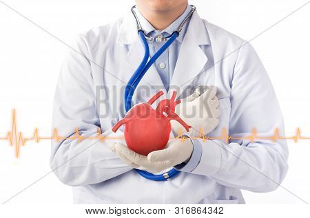 Doctor Hold Heart Listens Heart, Cardiology Symptoms In White Background