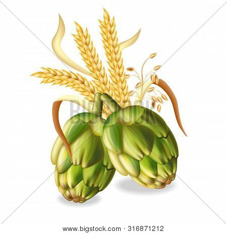 Hops And Wheat Ears Vector Realistic. Green Fresh Hops Natural Poster. 3d Illustrations