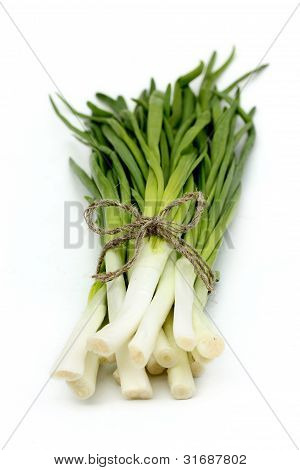Vert de jeunes oignons