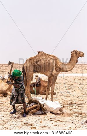 Danakil Depression, Ethiopia, April 29th.2019, Afar Man Cutting And Mining Salt Bricks (slabs) In Pr