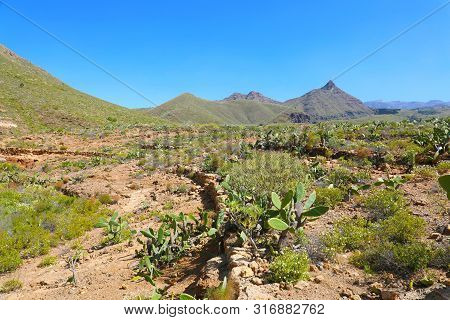 Path That Leads To Roque Del Conde Mount On Macizo De Adeje Mountain Range In Tenerife, Spain.