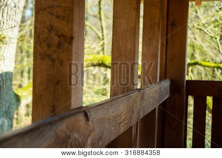 A High Altitude In A Natural Forest