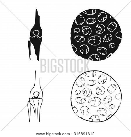 Vector Illustration Of Medicine And Clinic Icon. Set Of Medicine And Medical Vector Icon For Stock.