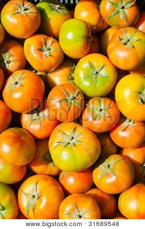 Pomodori acerbi