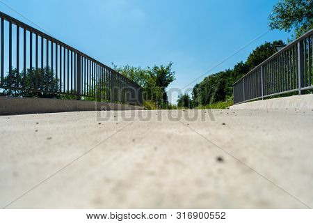 Focused Motifs Can Be Found During A Walk Through Nature