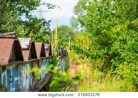 An Old Forgotten Train Carriage On A Disused Railway