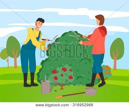 People In Gardner Caring For Bushes Of Roses Vector, Man And Woman With Tools. Male Using Scissors T