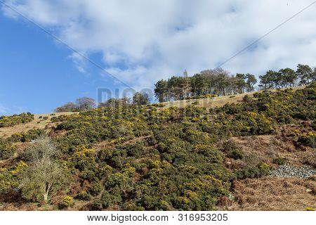 Landscape Of The Valley Around Lauder In  Lammermuir Hills, Scottish Border, Scotland. Uk