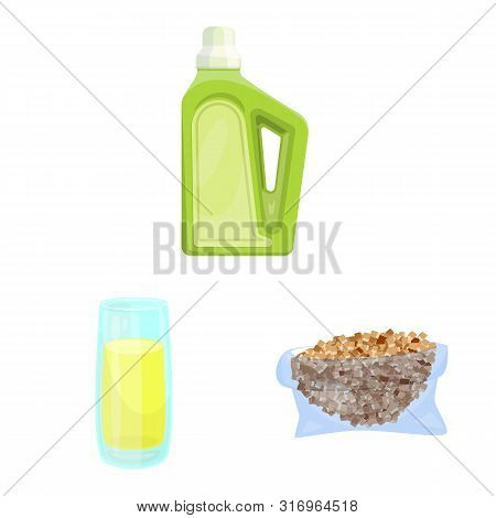 Isolated Object Of Sugarcane And Cane Icon. Collection Of Sugarcane And Field Stock Vector Illustrat