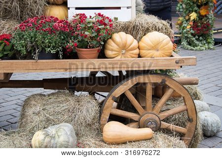 Orange Pumpkins On Hay, Flowers In Pots, Decorative Cartwheel. Autumn Street Decoration Background. 