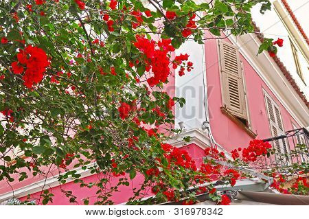 Traditional Colorful Buildings And Red Bougainvillea Flowers At Nafplio Town Argolis Greece