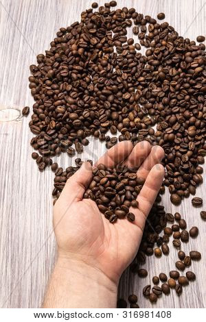 Dark Roasted Ready Fresh Coffee Beans In Bulk