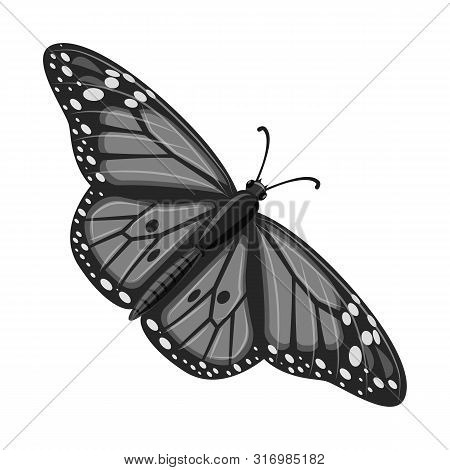 Vector Design Of Butterfly And Spring Logo. Set Of Butterfly And Decorative Vector Icon For Stock.