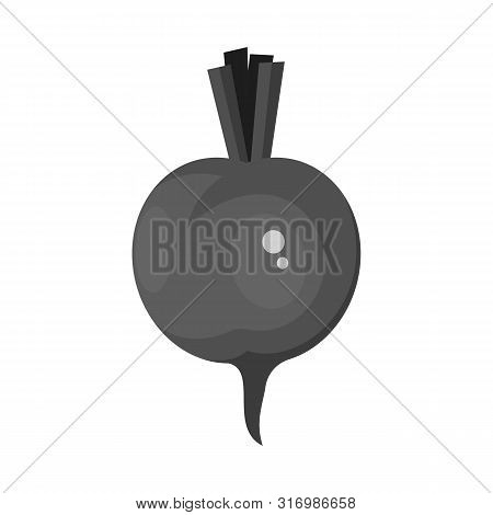 Vector Illustration Of Beet And Beetroot Symbol. Collection Of Beet And Diet Vector Icon For Stock.
