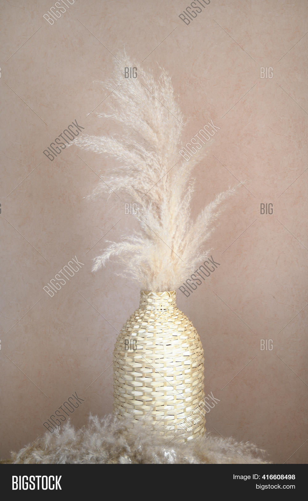 Pampas Grass Wicker Image & Photo (Free Trial) Bigstock