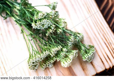 Achillea Millefolium, Yarrow Or Common Yarrow White Fresh Flowers On A Wooden Cutting Board Ready Fo