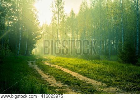 A Beautiful Scenery Of An Old Road Leading Through The Spingtime Forest. Spring Landscape Of A Fores