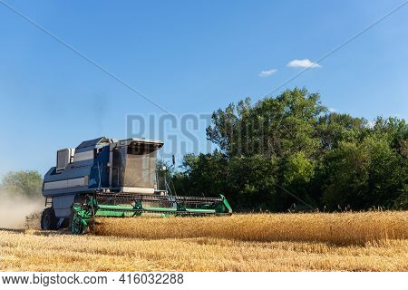 Scenic Landscape Of Ripegolden Organic Wheat Stalk Field Against Blue Sky On Bright Sunny Summer Day