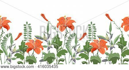 Vector Seamless Floral Border, Pattern. Orange Color Lilies, Daylilies, Green Wormwood, Quinoa.